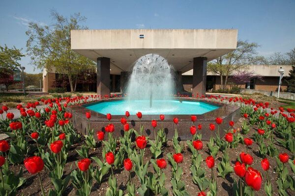 Center For Visual And Performing Arts