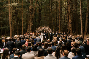 The Enchanted Forest