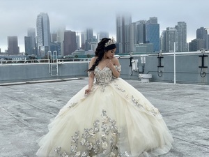 DTLA Skyline Background