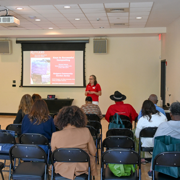 UCPAC's Hamilton Stage