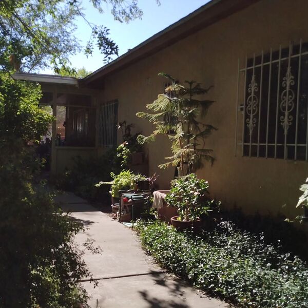 Mother Bosque Garden