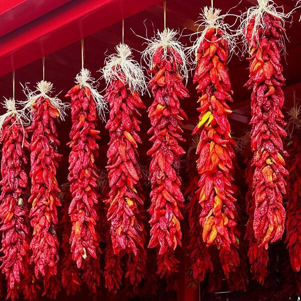 Mother Bosque Garden