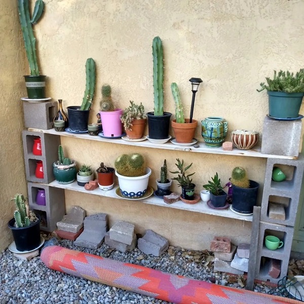 Mother Bosque Garden