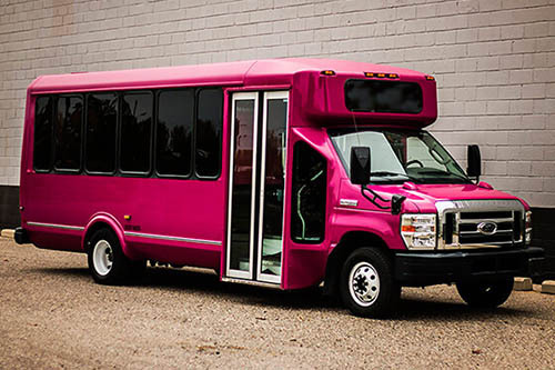 Pink Party Buses