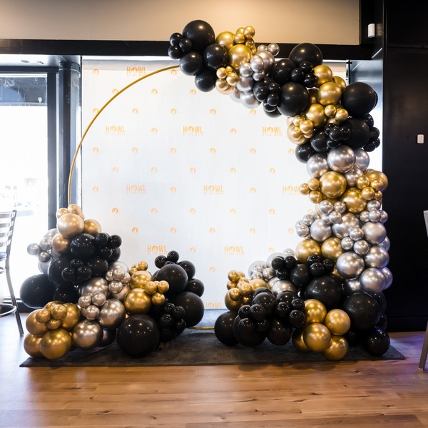 Howl At The Moon - Boston