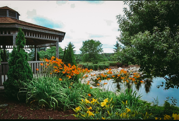 Take Flight Enterprise