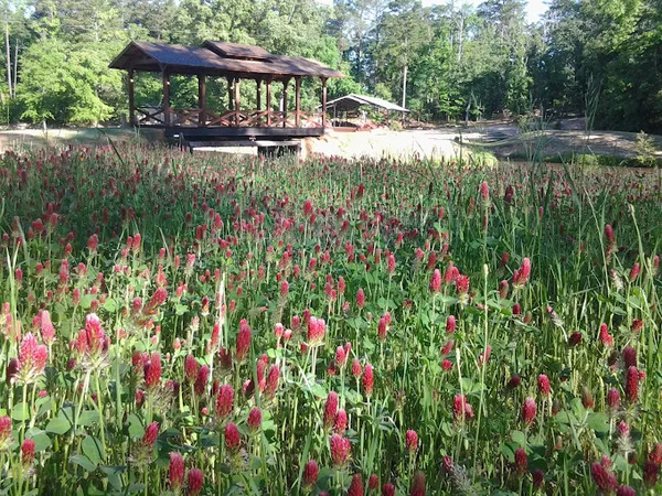 Thomas Falls Event Center