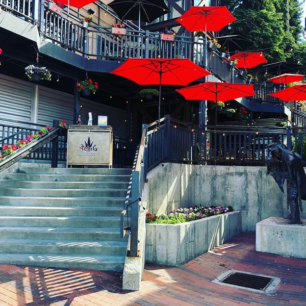 Tekila Mexican Grill and Cantina