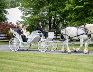 Historic Trolley & Carriage