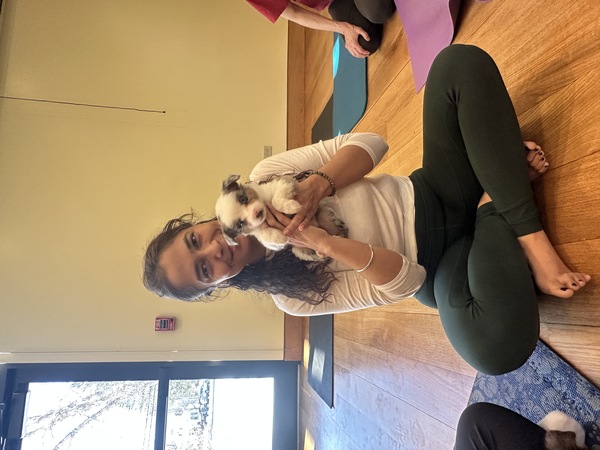 CT Puppy Yoga
