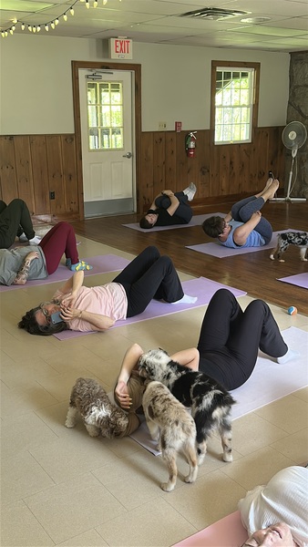 CT Puppy Yoga
