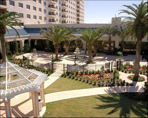 Pool Terrace and Lawn