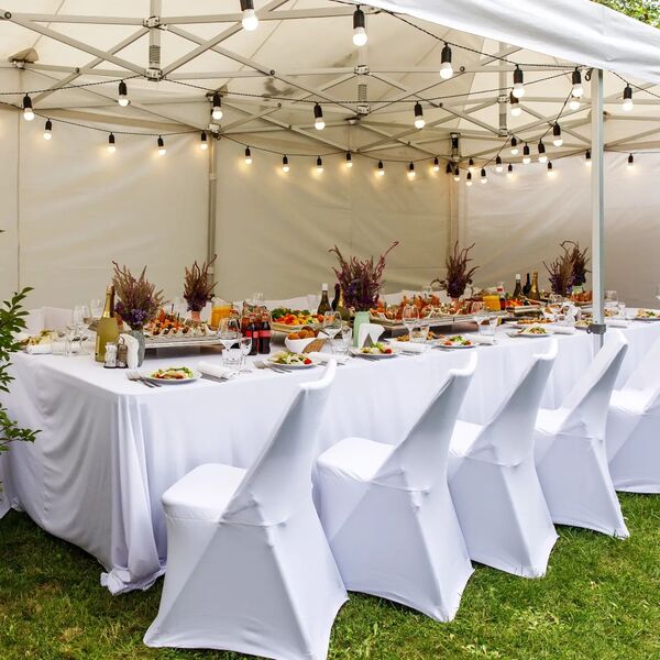 Ultimate Party Services