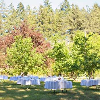 The Farm and Orchard