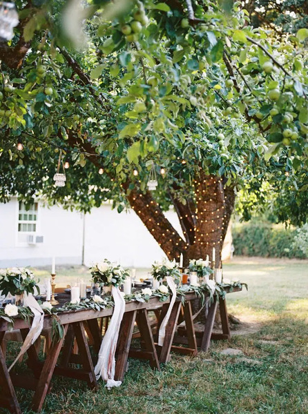 The Farm and Orchard