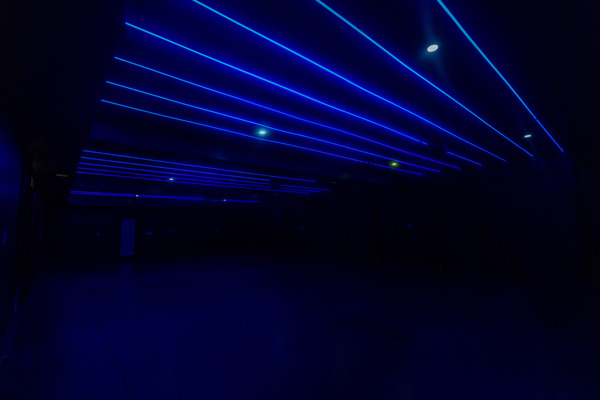 13039 Freemanville, LLC