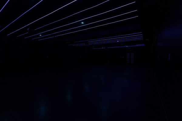 13039 Freemanville, LLC