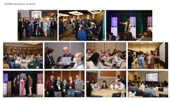 Nicolette Jackson-Pownall Photography