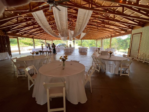 Nesselrod on the New