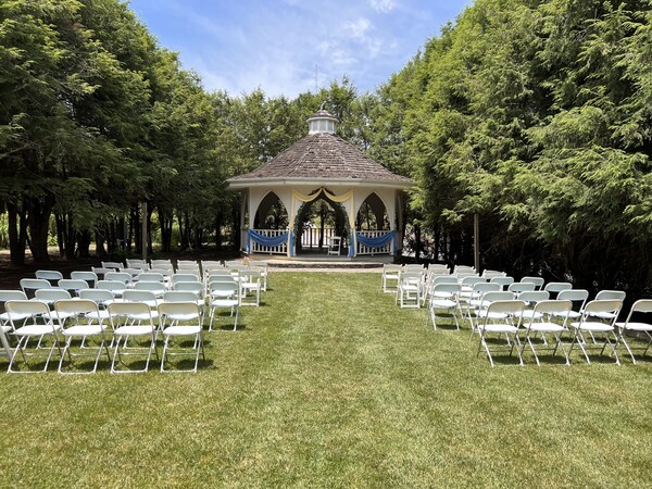 Nesselrod on the New