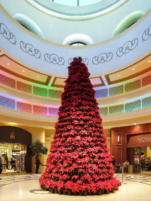 Belterra Casino Resort