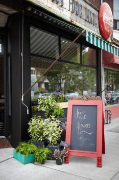 Willem and Jools Flowers