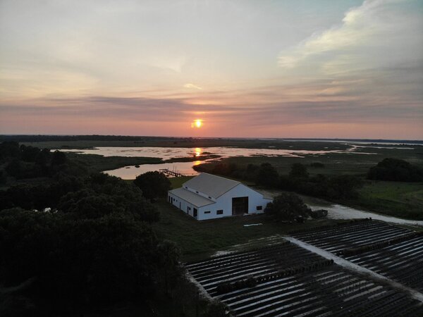 Lavender on the Lake