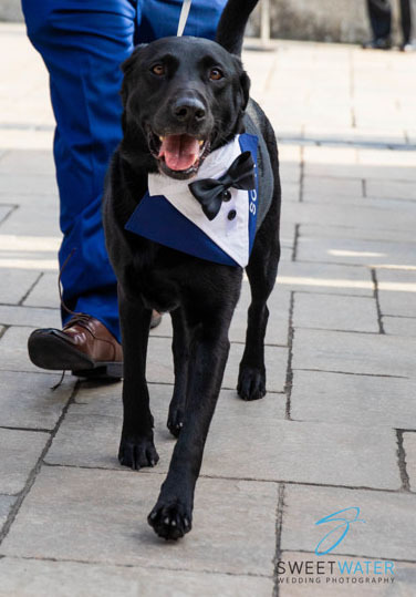 Pats Peaks Banquet Center