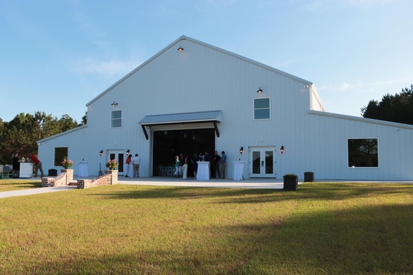 Pine Needle Plantation