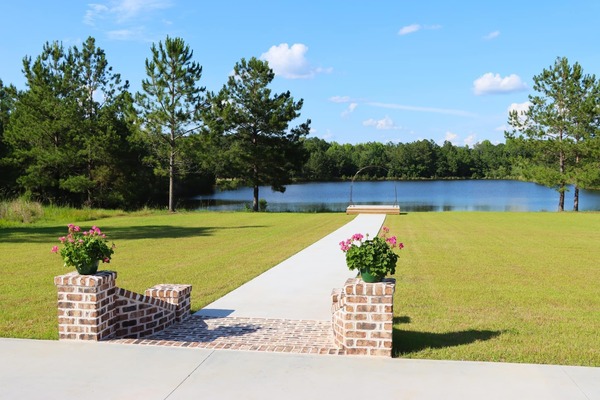 Pine Needle Plantation