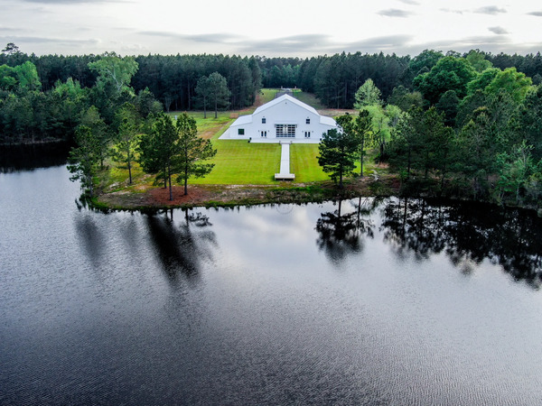 Pine Needle Plantation