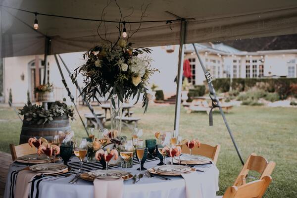 Moon Dancer Vineyards & Winery