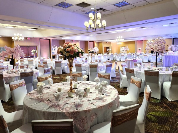 Holiday Inn & Suites Bolingbrook