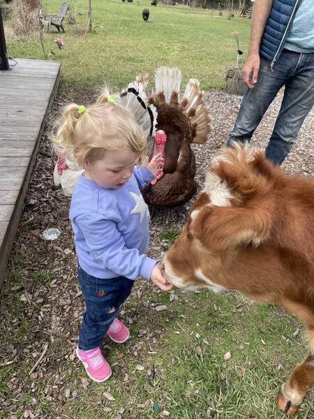 Rooterville Animal Sanctuary