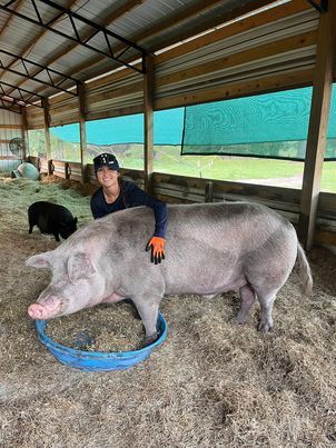 Rooterville Animal Sanctuary