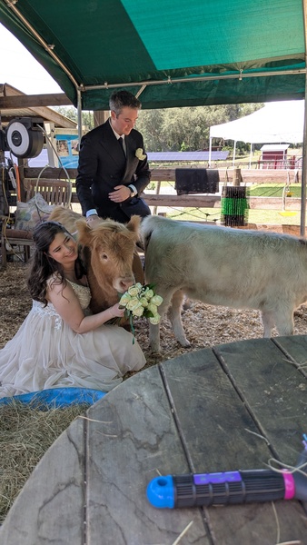 Rooterville Animal Sanctuary