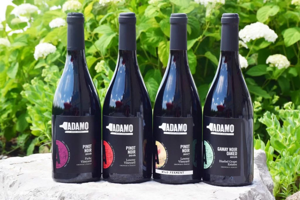 Adamo Estate Winery