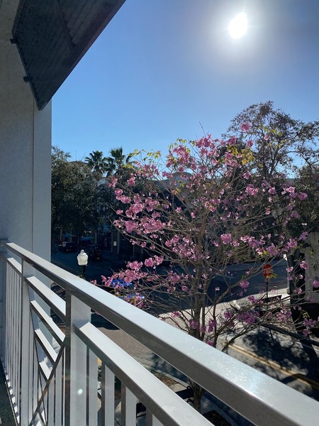 HavenHouse Eatery & Coffee Bar