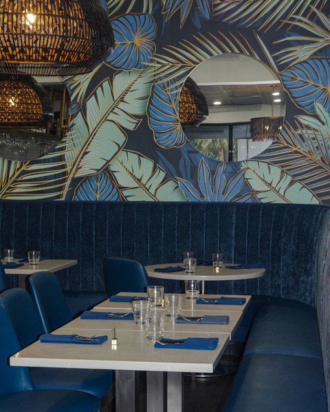 Pez Vela: Fusion Kitchen