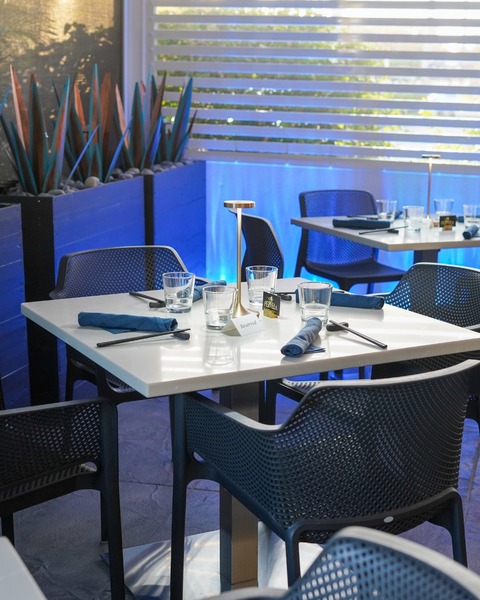 Pez Vela: Fusion Kitchen