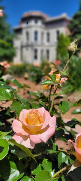 Wyeth-Tootle Mansion