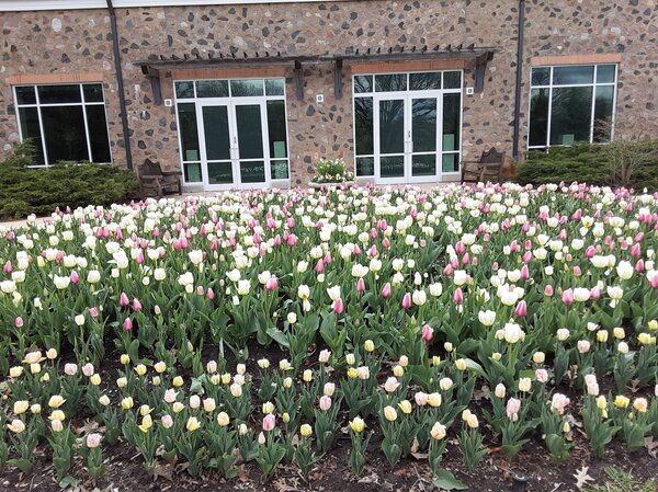 Boerner Botanical Gardens