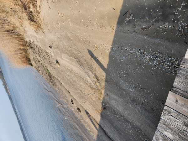 Hideaway on the Patuxent