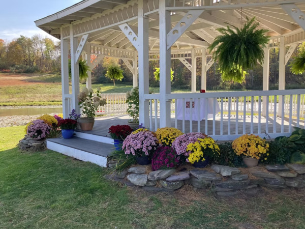 The Springs at Takachs Grove