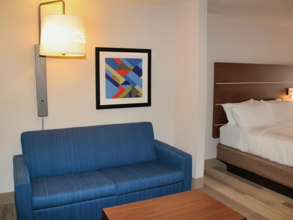 Holiday Inn Express & Suites Douglas