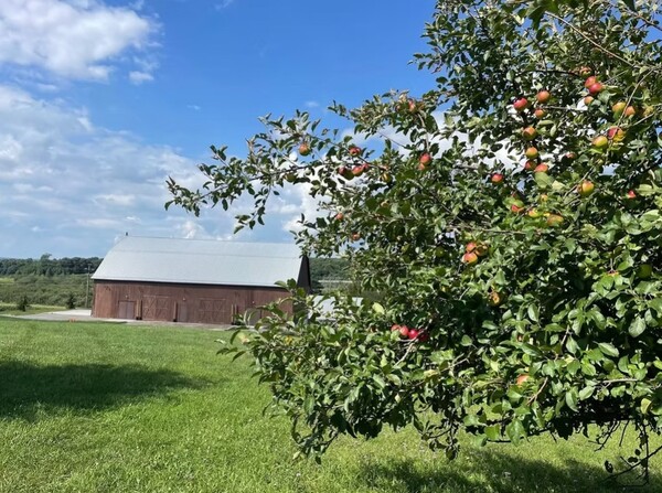 The Apple Barn