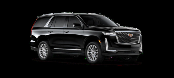 Cobalt Transport Services