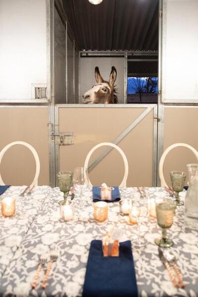 The Ranch At GreenAcres