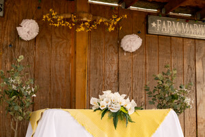 Tiny Picnic Pavillion