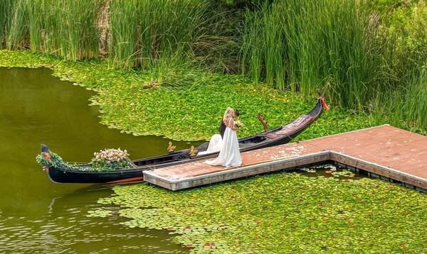 Black Swan Gondola Company